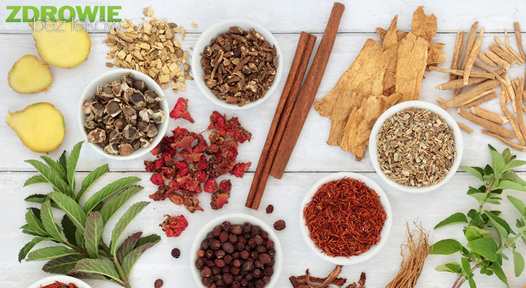 Wolne rodniki – przyjaciele czy wrogowie? 