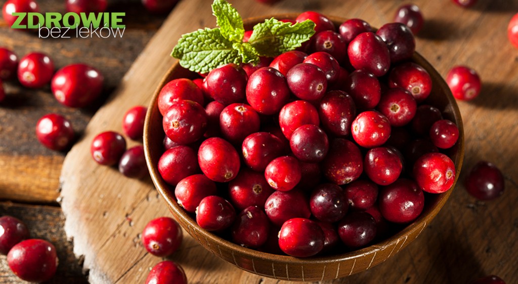 Żurawina wielkoowocowa – na ratunek układowi moczowemu