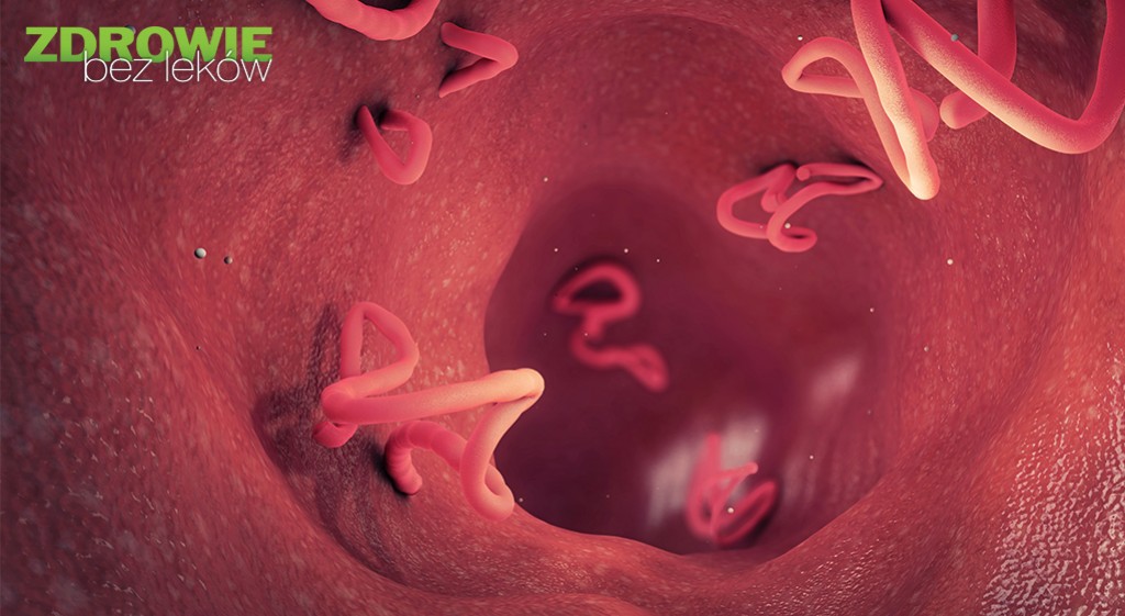 Pozbyć się pasożytów