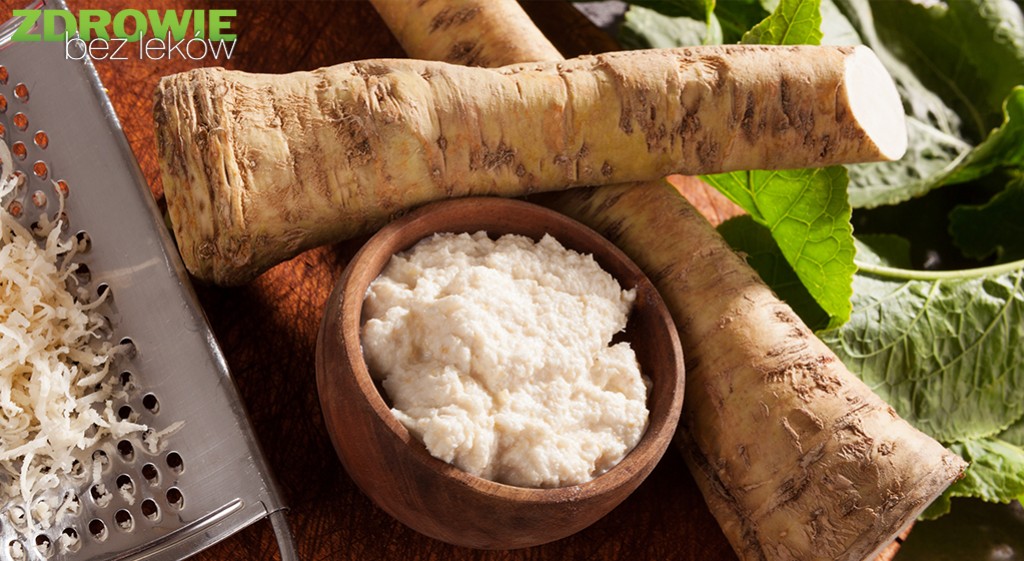 Chrzan pospolity – Armoracia lapathifolia Gilibert