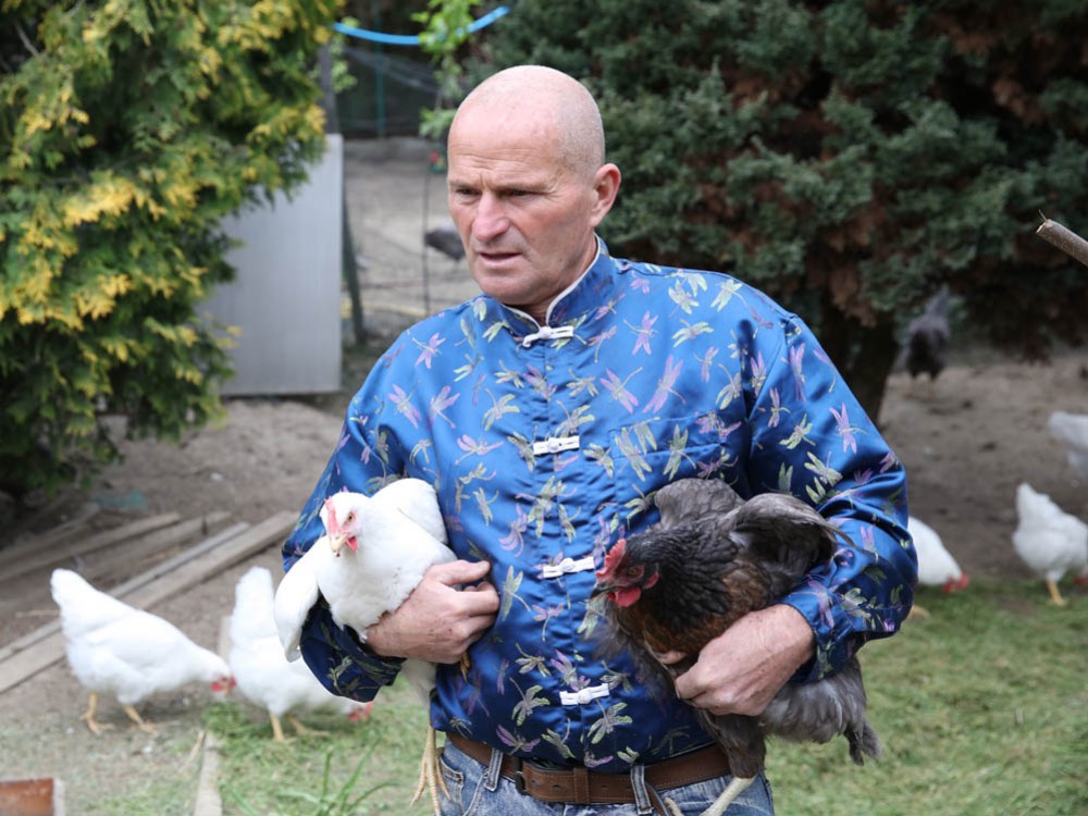 Kraina szczęśliwych kur Grzegorza Śleziaka