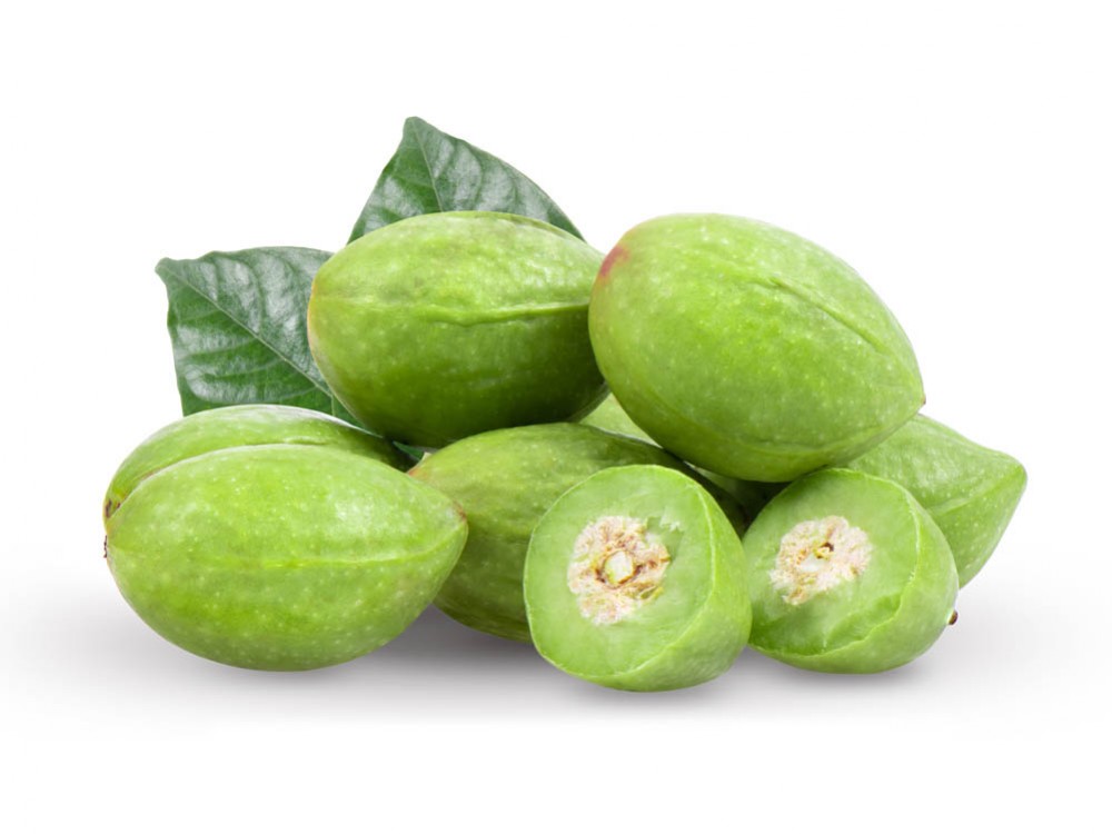 HARITAKI (Terminalia chebula)