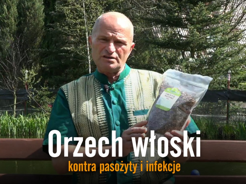Orzech włoski kontra pasożyty i infekcje