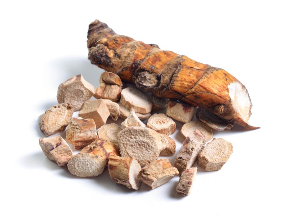 Tatarak (Acorus calamus)