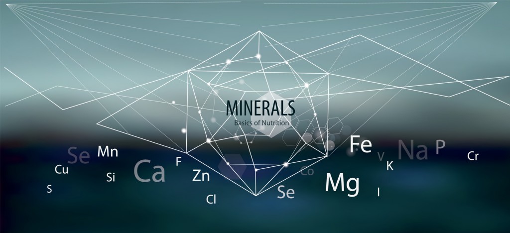 Składniki mineralne