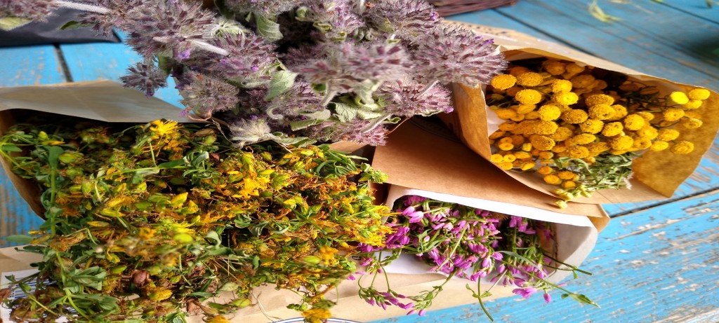 O konserwacji, przetwórstwie i przechowalnictwie ziół 