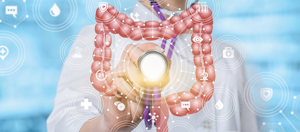 Jelita – pierwsza linia obrony organizmu