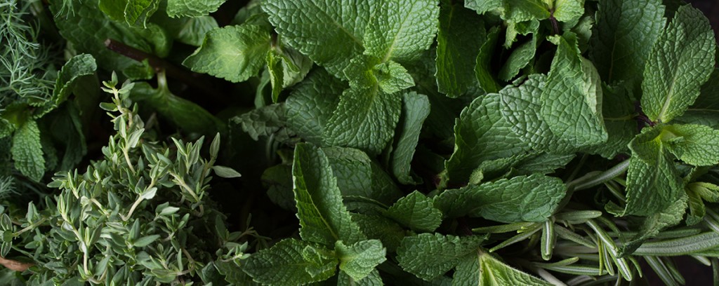 Ziele babći – indyjskie remedium na bielactwo nabyte