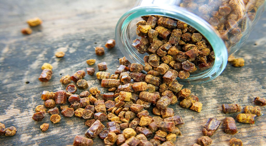 Pierzga pszczela – właściwości odżywcze, zdrowotne i uodparniające!