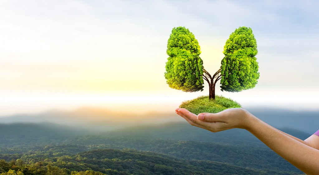 Wentylacja mechaniczna płuc 