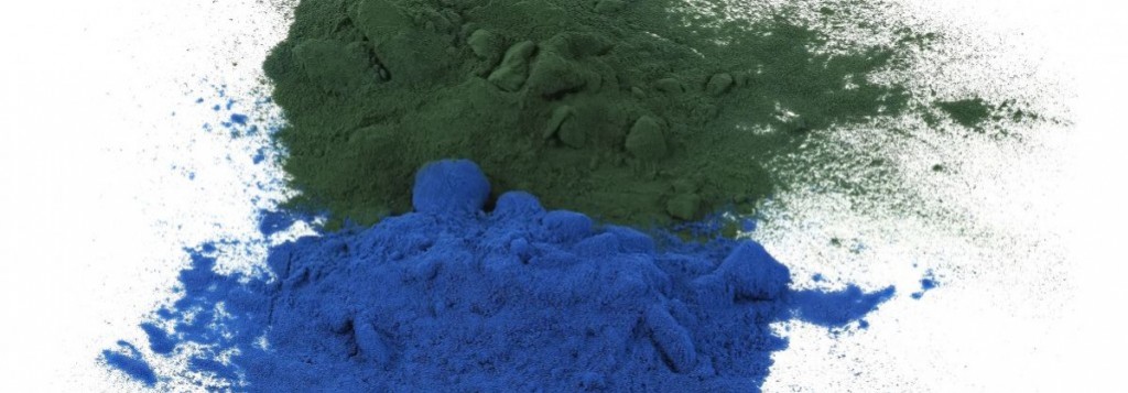 Fikocyjanina przeciwutleniacz z alg