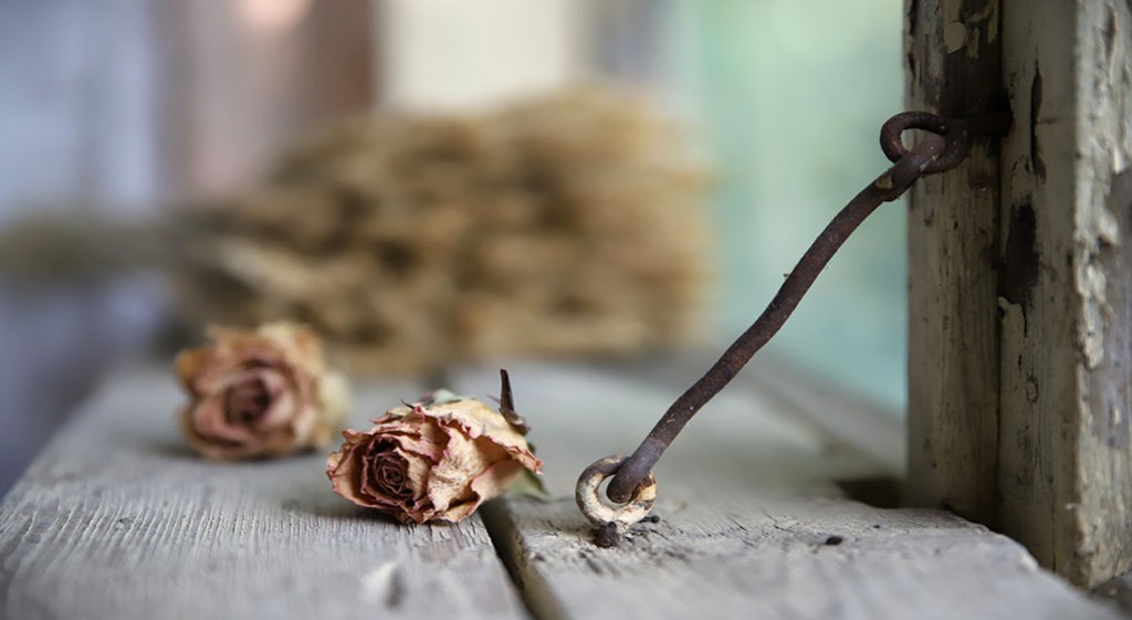 Bez miedzi rośliny umierają