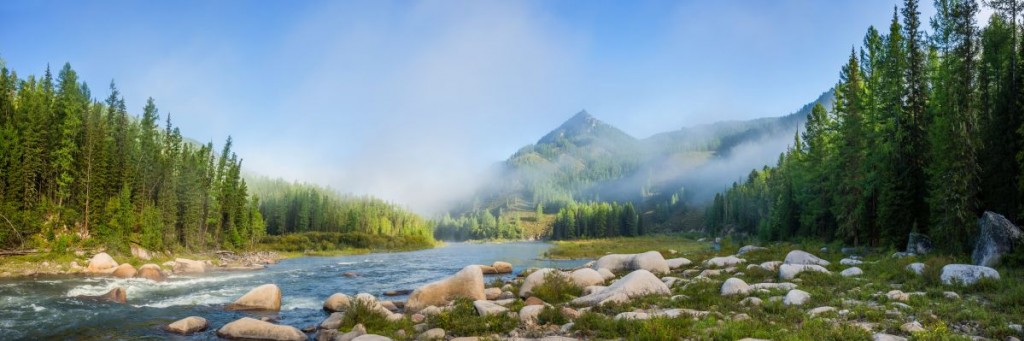 TAXYFOLINA Forte - Witamina P BAJKALSKA