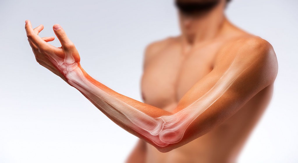 Kości kończyny górnej