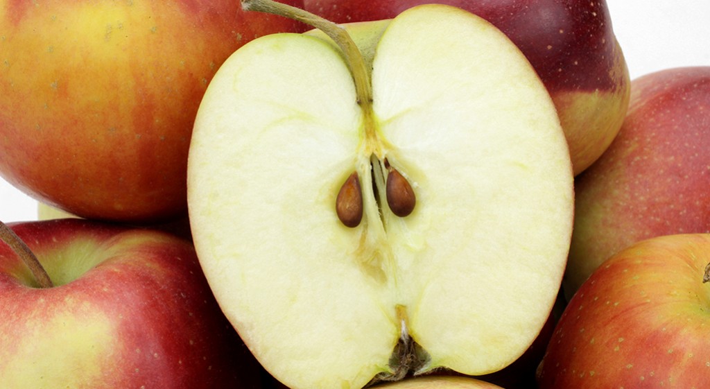 Jabłka – czy wiesz o nich wszystko?