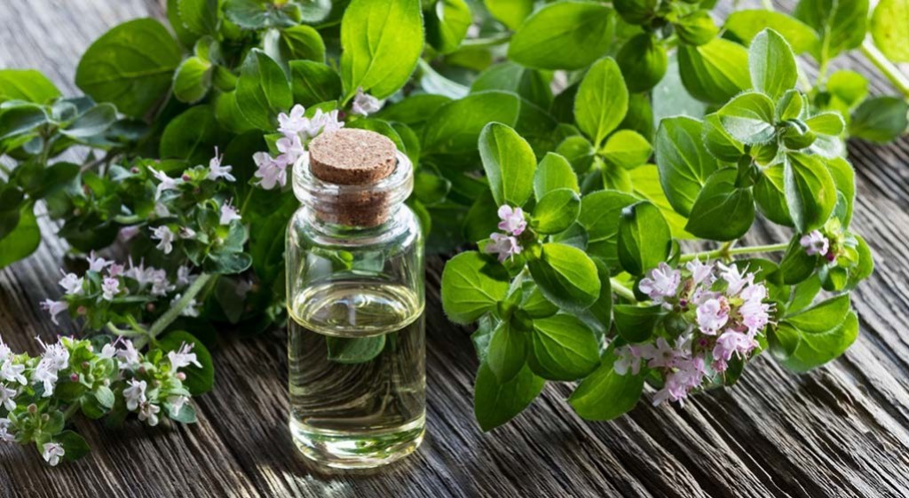 Na przeziębienie… szkoda czasu