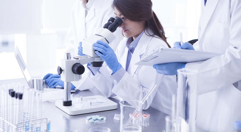 Czym jest białko całkowite