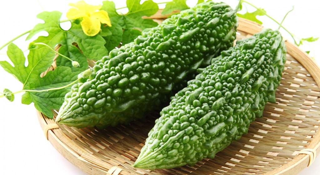 Gorzki melon – roślinna insulina, strażnik cukru