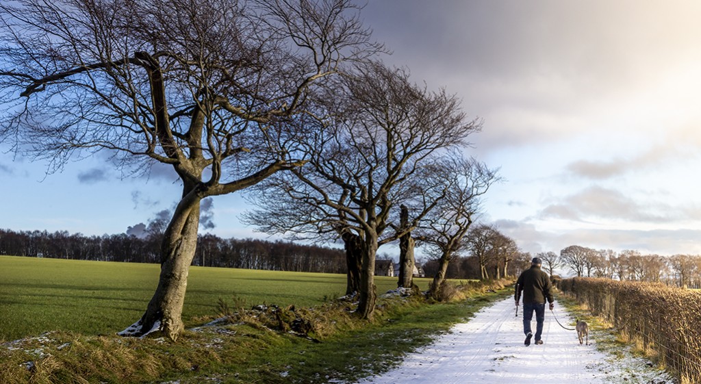 Zadziwiające zalety regularnych spacerów
