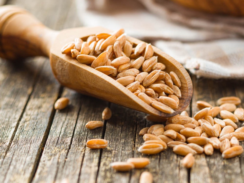 Uzdrowieńcza medycyna św. Hildegardy