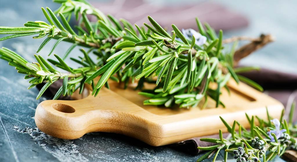 Rozmaryn – właściwości i zastosowanie