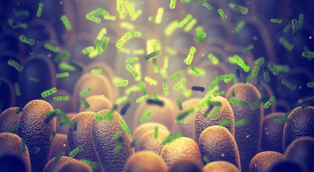 Bibliografia do art. prof. P. Claytona „ZbL“ 3/2022