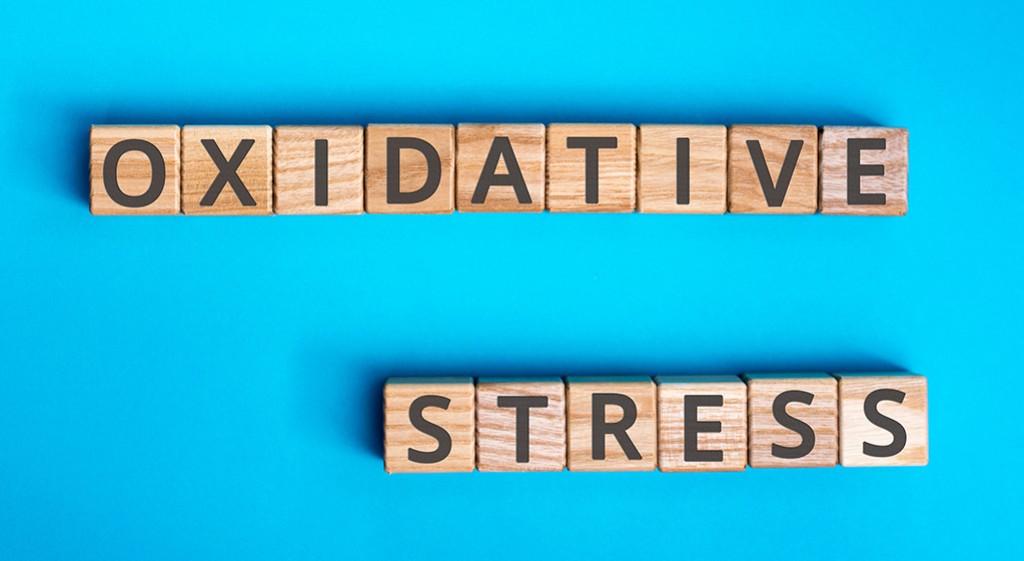Stres oksydacyjny i wolne rodniki – poważne zagrożenie dla zdrowia