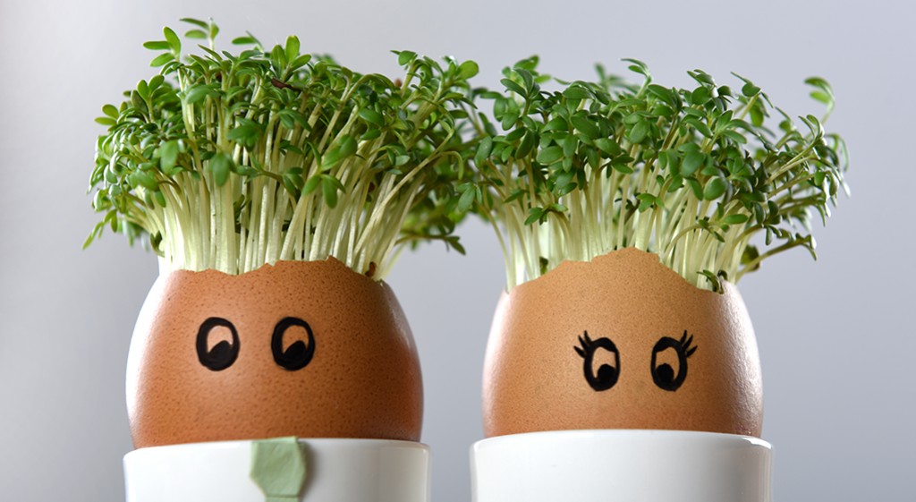 Rzeżucha na lepsze zdrowie