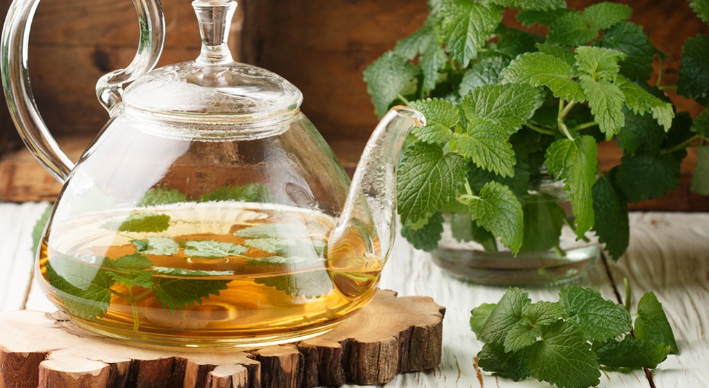 Melisa – spokój z natury