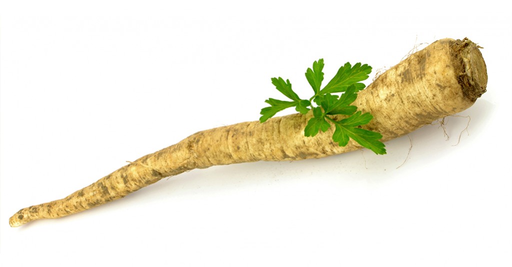Pietruszka – korzeń