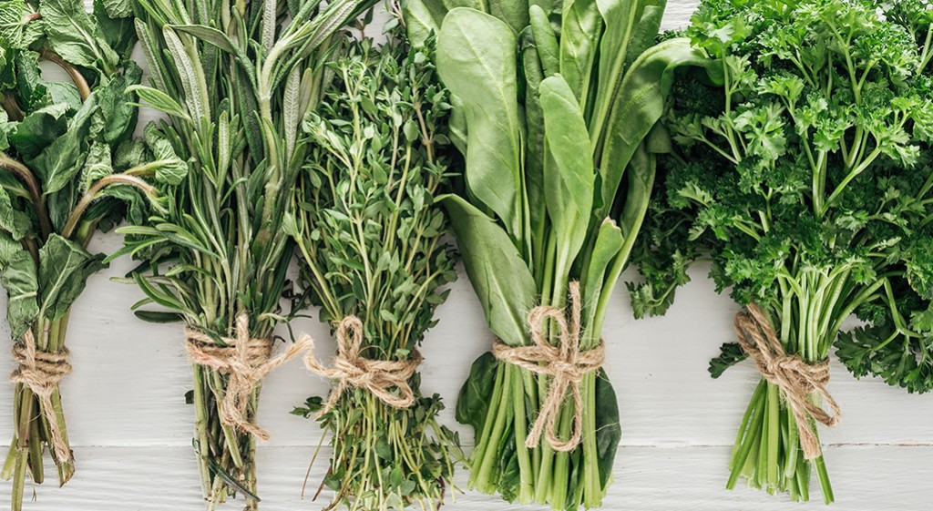 Oczyszczanie organizmu z toksyn