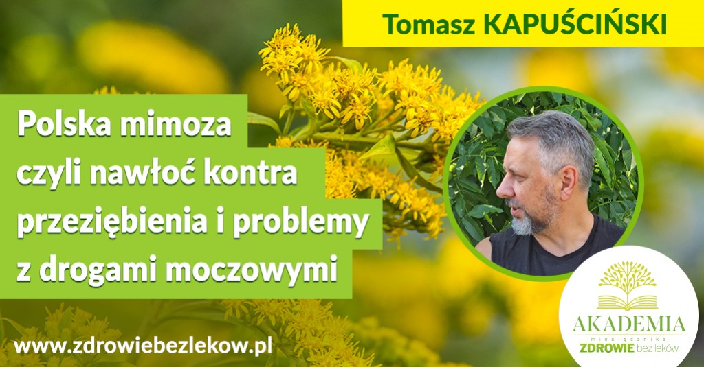 Nawłoć i jej lecznicze działanie