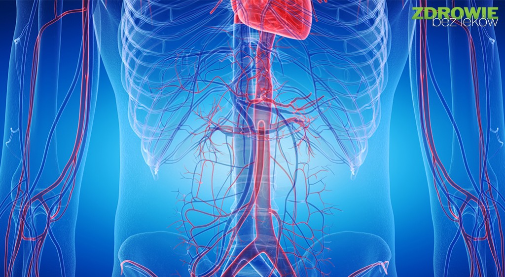 Jak zadbać o naczynia krwionośne