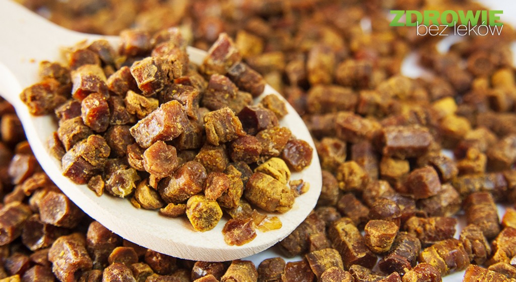 Pierzga – jeszcze więcej dobra od pszczół