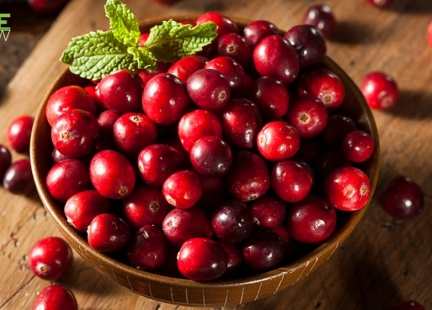 Żurawina wielkoowocowa – na ratunek układowi moczowemu