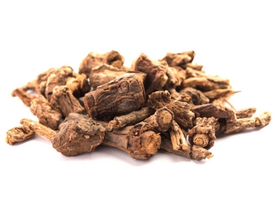 SARIVA (Hemidesmus indicus)