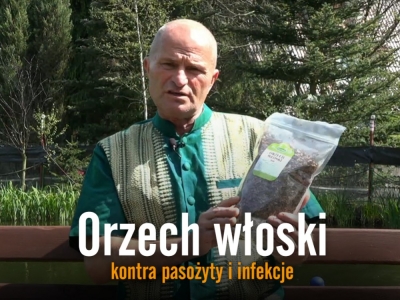 Orzech włoski kontra pasożyty i infekcje