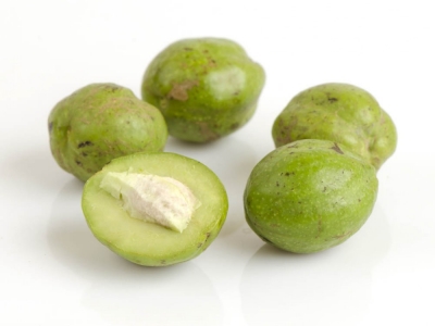 TRIPHALA (Terminalia bellirica)