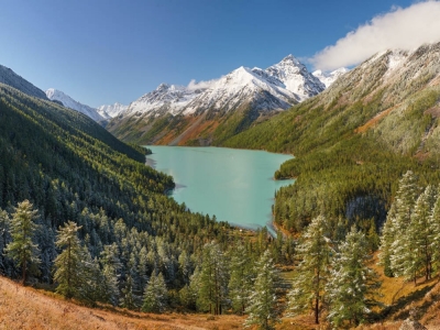 Fitoimunat – syberyjska formuła na odporność