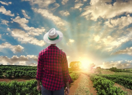 Ukryty układ samoleczenia