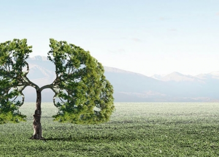 Leczenie tlenem (tlenoterapia)