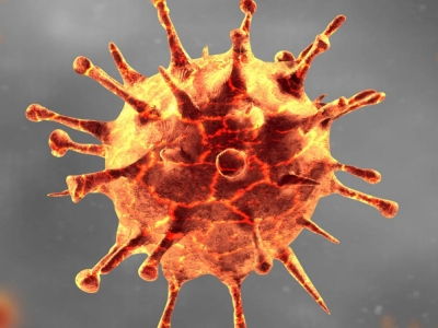 Koronawirus SARS-Cov-2 (COVID-19) – fakty