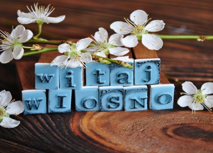 Które zioła na wiosnę?