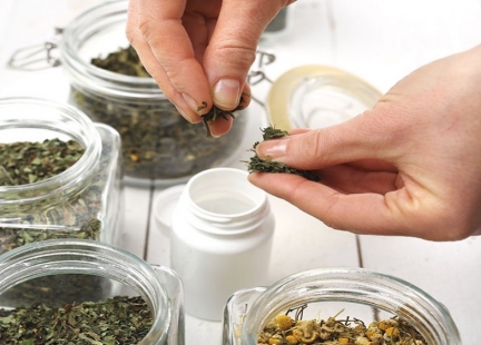 Czystek na wzmocnienie odporności