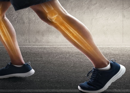 Kości kończyny dolnej