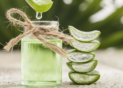 Aloes – zielone superfood