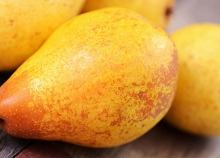 Gruszka – wszystkie (prawie) jej tajemnice