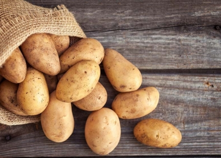 Ziemniak – cudowna bulwa