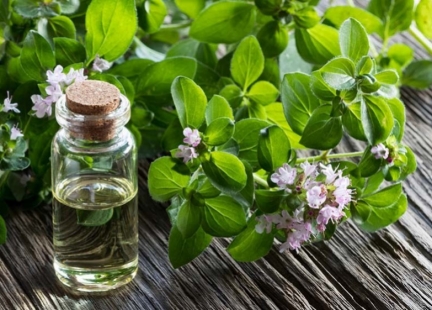 Na przeziębienie… szkoda czasu