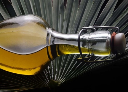 Olej palmowy – wszechobecna trucizna